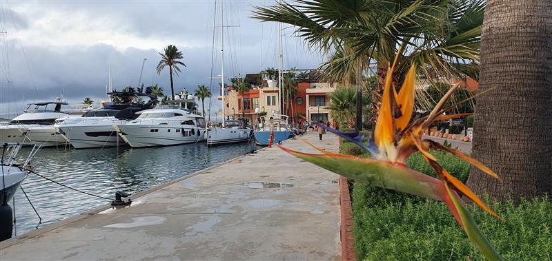 Puerto Deportivo Marina de Denia